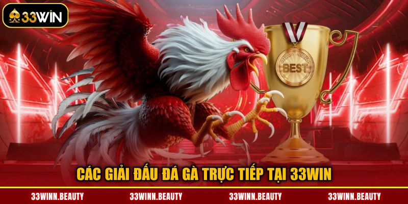 Các giải đấu đá gà trực tiếp tại 33WIN