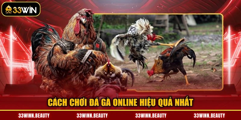Cách chơi đá gà online hiệu quả nhất