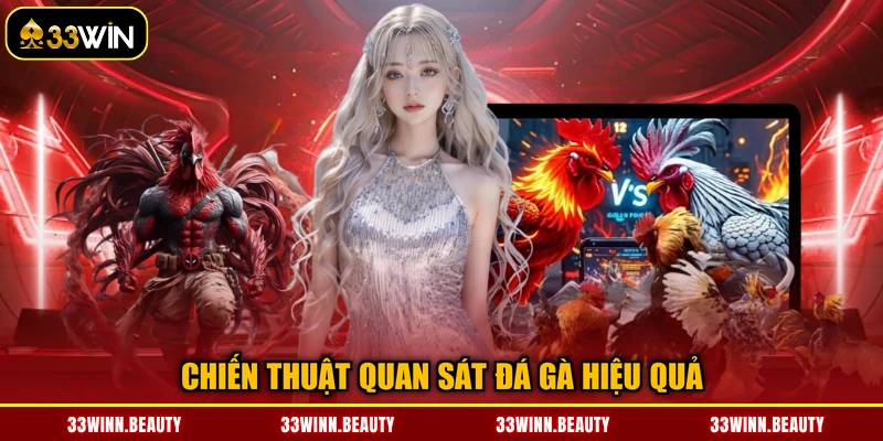 Chiến thuật quan sát đá gà hiệu quả