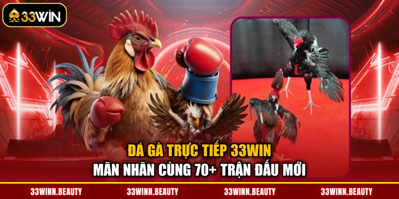 Đá gà trực tiếp