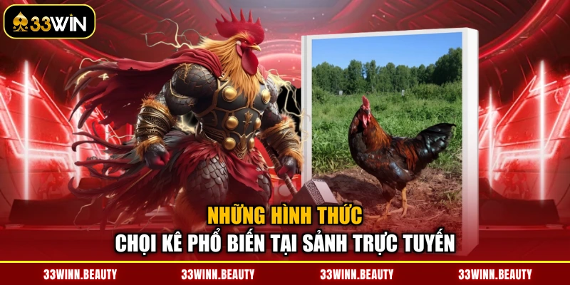 Những hình thức chọi kê phổ biến tại sảnh trực tuyến