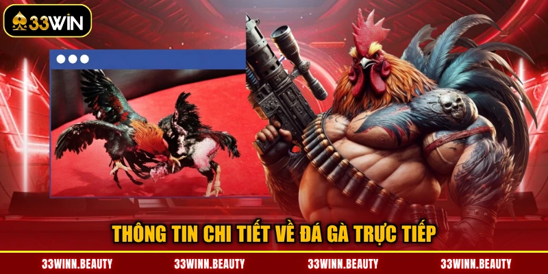 Thông tin chi tiết về đá gà trực tiếp